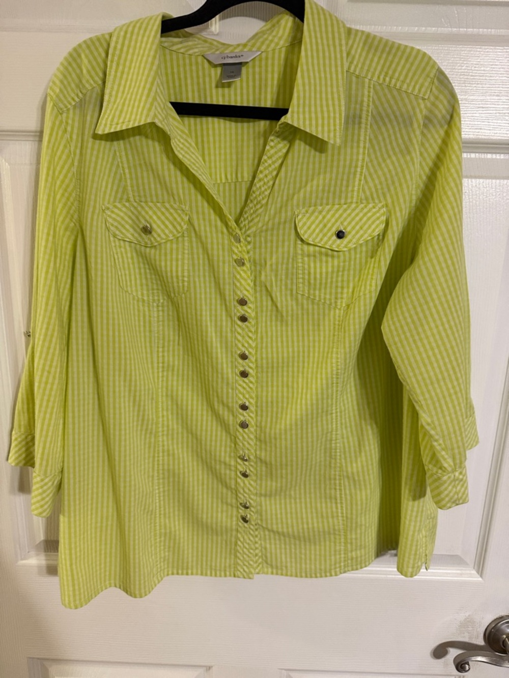 CJ Banks Lime Green Gingham